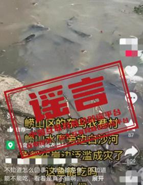 今日辟謠（2024年8月20日）